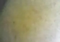 Bardzo się cieszę lizanie cipy do orgazmu amatorki azjatki dupy