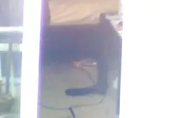 Eliza anal sport lizabie cipki